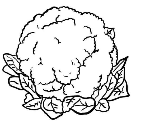 Chou Fleur 5